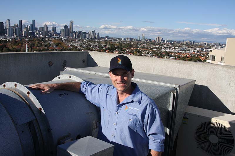 Wayne Rooftop sm -